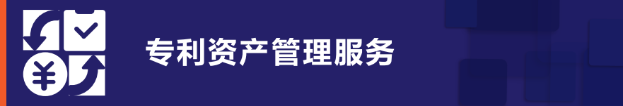 專利資產(chǎn)管理服務