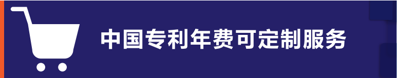 中國專利年費可定制服務(wù)